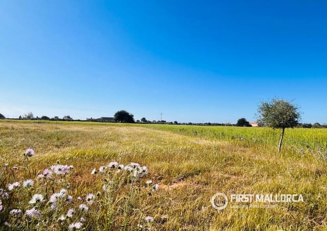 Byggegrund til salg i L'Horta / S'Horta, Felanitx - € 900.000 (Ref: 9789924)