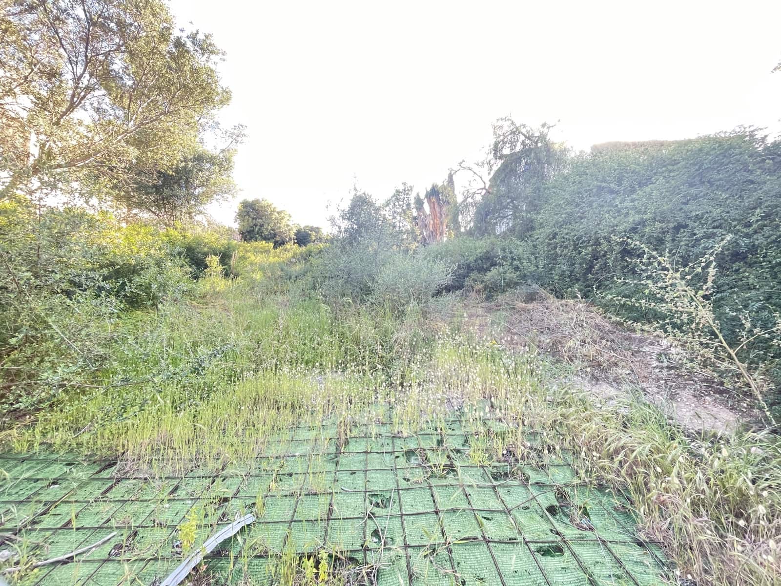 Byggetomt til salgs i Palma de Mallorca - € 735 000 (Ref: 9824115)