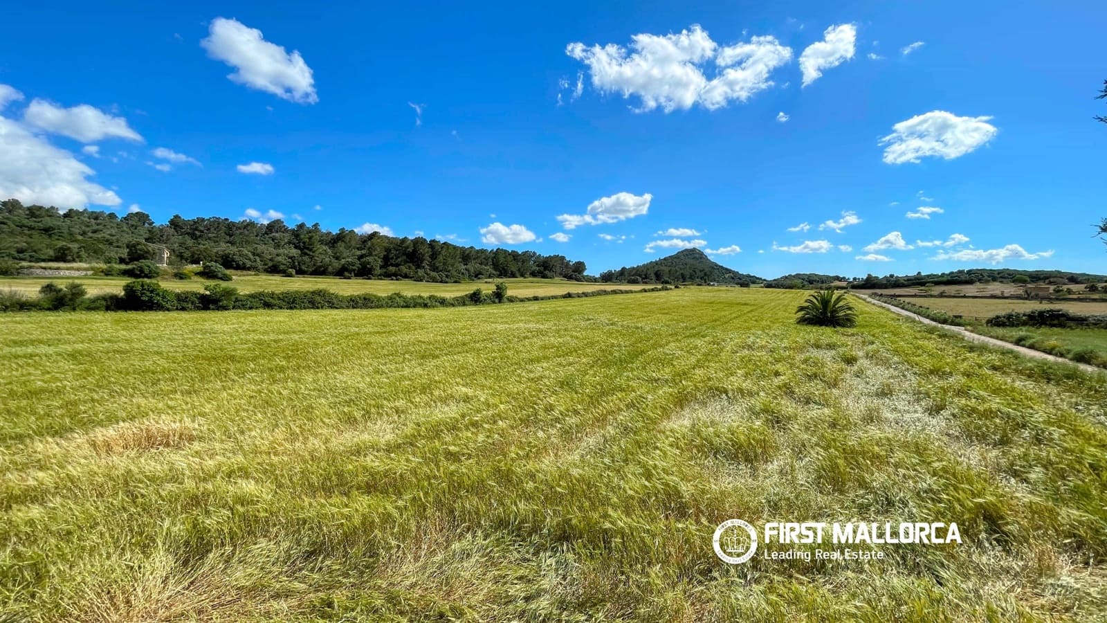 4 quarto Quinta/Casa Rural para arrendar em Sineu com piscina garagem - 2 300 € (Ref: 9841915)