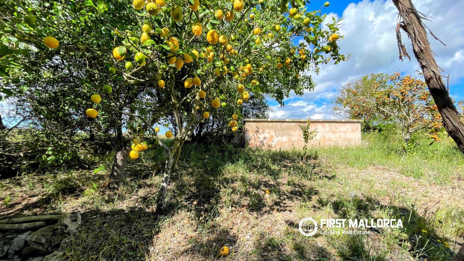 4 quarto Quinta/Casa Rural para arrendar em Sineu com piscina garagem - 2 300 € (Ref: 9841915)