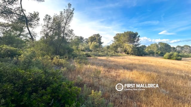 Tomt till salu i Algaida - 298 000 € (Ref: 9844608)