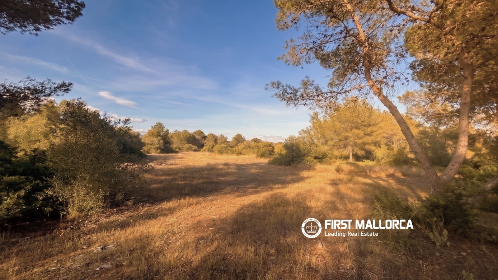 Tomt till salu i Algaida - 298 000 € (Ref: 9844608)