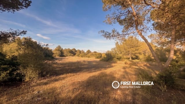 Tomt till salu i Algaida - 298 000 € (Ref: 9844608)