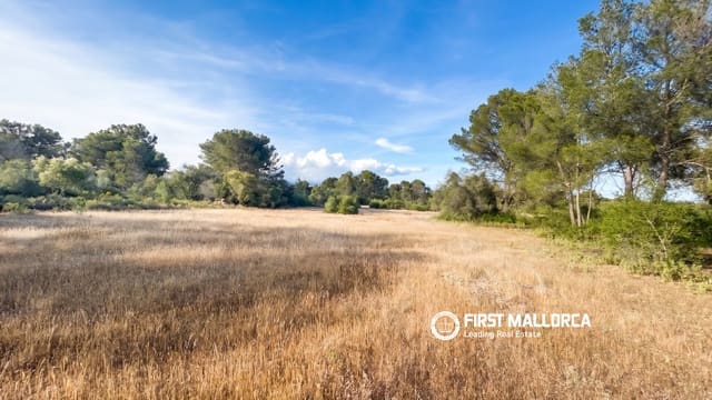 Tomt till salu i Algaida - 298 000 € (Ref: 9844608)