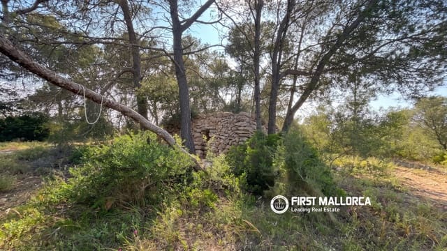 Tomt till salu i Algaida - 298 000 € (Ref: 9844608)