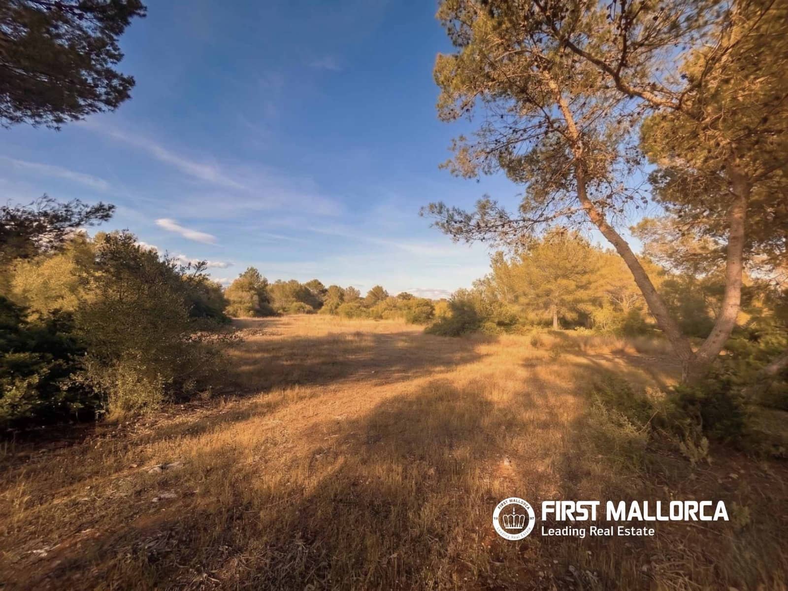 Tomt till salu i Algaida - 298 000 € (Ref: 9844608)