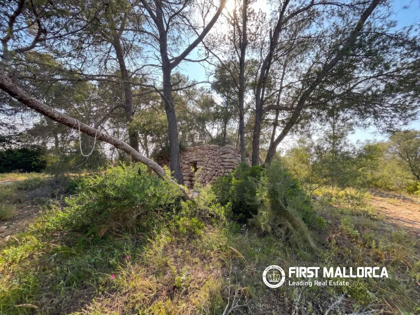 Tomt till salu i Algaida - 298 000 € (Ref: 9844608)