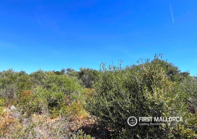 Byggegrund til salg i Cala d'Or, Santanyí - € 560.000 (Ref: 9854550)