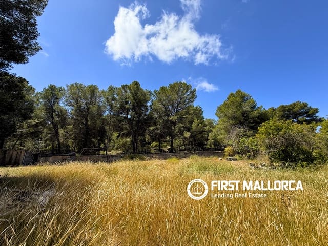 Bouwgrond te koop in Santa Ponsa, Calvià - € 1.800.000 (Ref: 9854554)