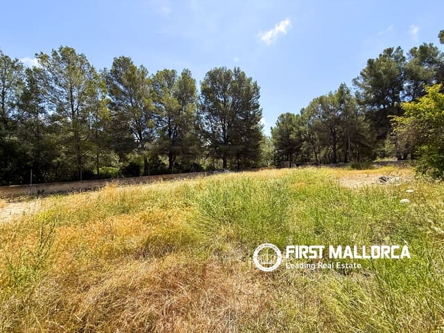 Bouwgrond te koop in Santa Ponsa, Calvià - € 1.800.000 (Ref: 9854554)