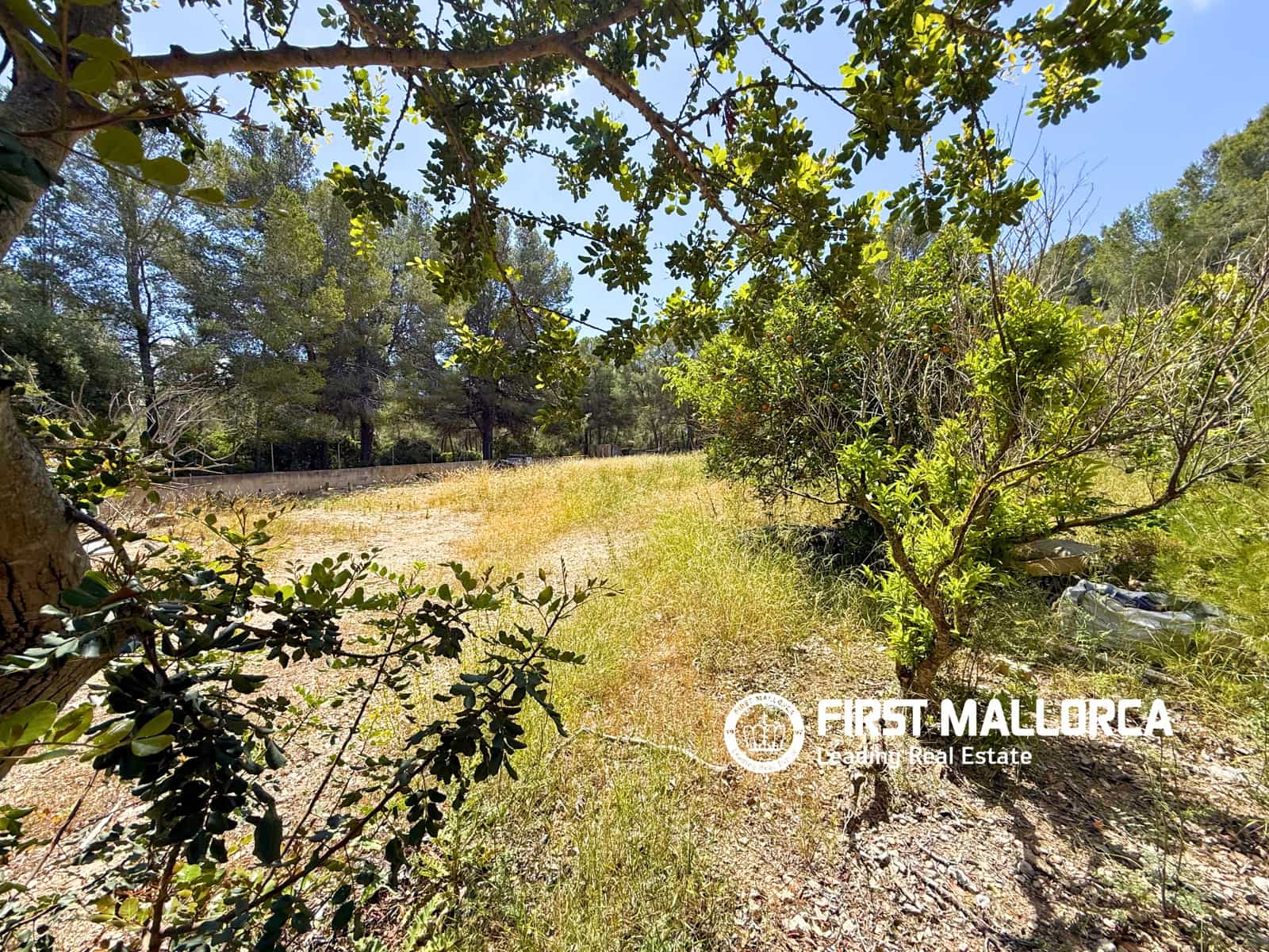 Bouwgrond te koop in Santa Ponsa - € 1.800.000 (Ref: 9854554)