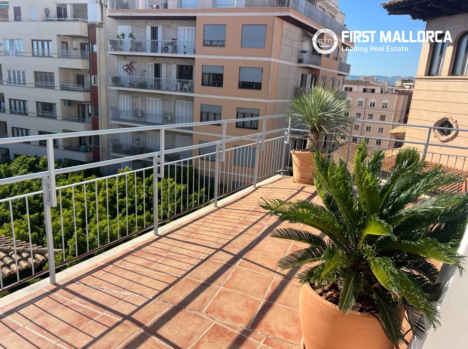 2 bedroom Penthouse for rent in Palma de Mallorca - € 2,500 (Ref: 9872662)