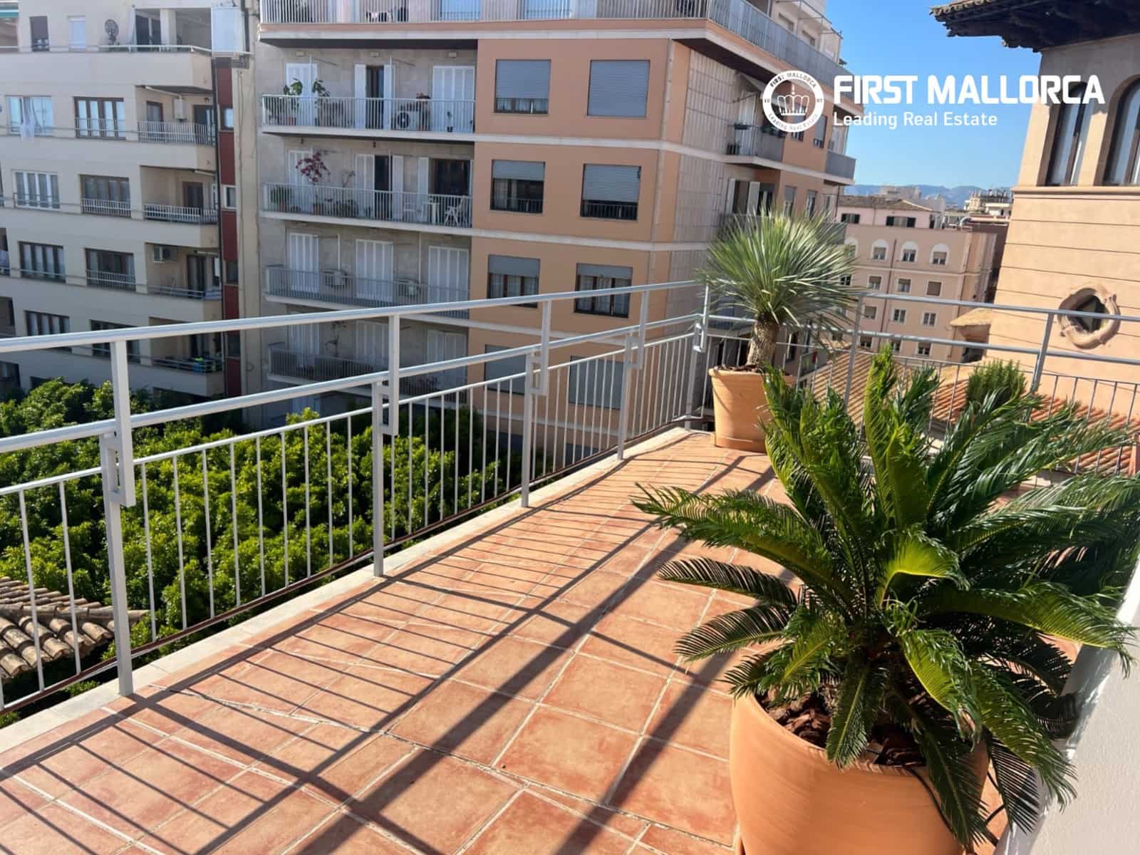 2 bedroom Penthouse for rent in Palma de Mallorca - € 2,000 (Ref: 9872662)
