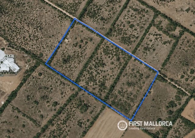 Terrain à Bâtir à vendre à Campos - 750 000 € (Ref: 9872670)