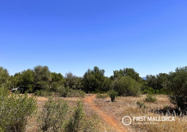 Terrain à Bâtir à vendre à Campos - 750 000 € (Ref: 9872670)