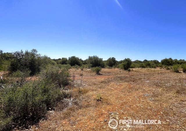 Terrain à Bâtir à vendre à Campos - 750 000 € (Ref: 9872670)