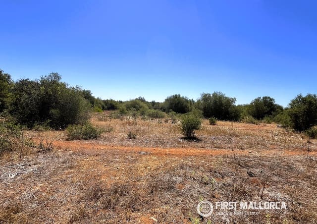 Terrain à Bâtir à vendre à Campos - 750 000 € (Ref: 9872670)