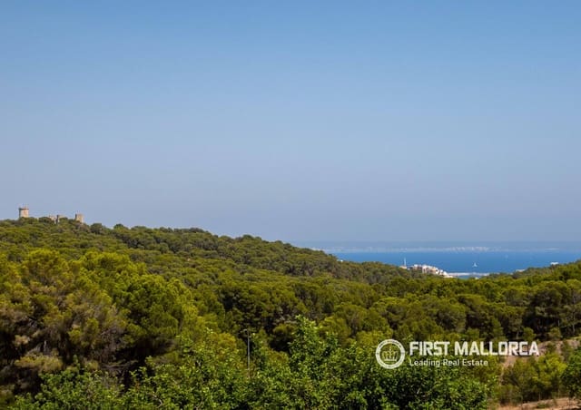 4 chambre Villa/Maison Semi-Mitoyenne à vendre à Genova, Palma de Mallorca avec piscine garage - 2 500 000 € (Ref: 9877525)