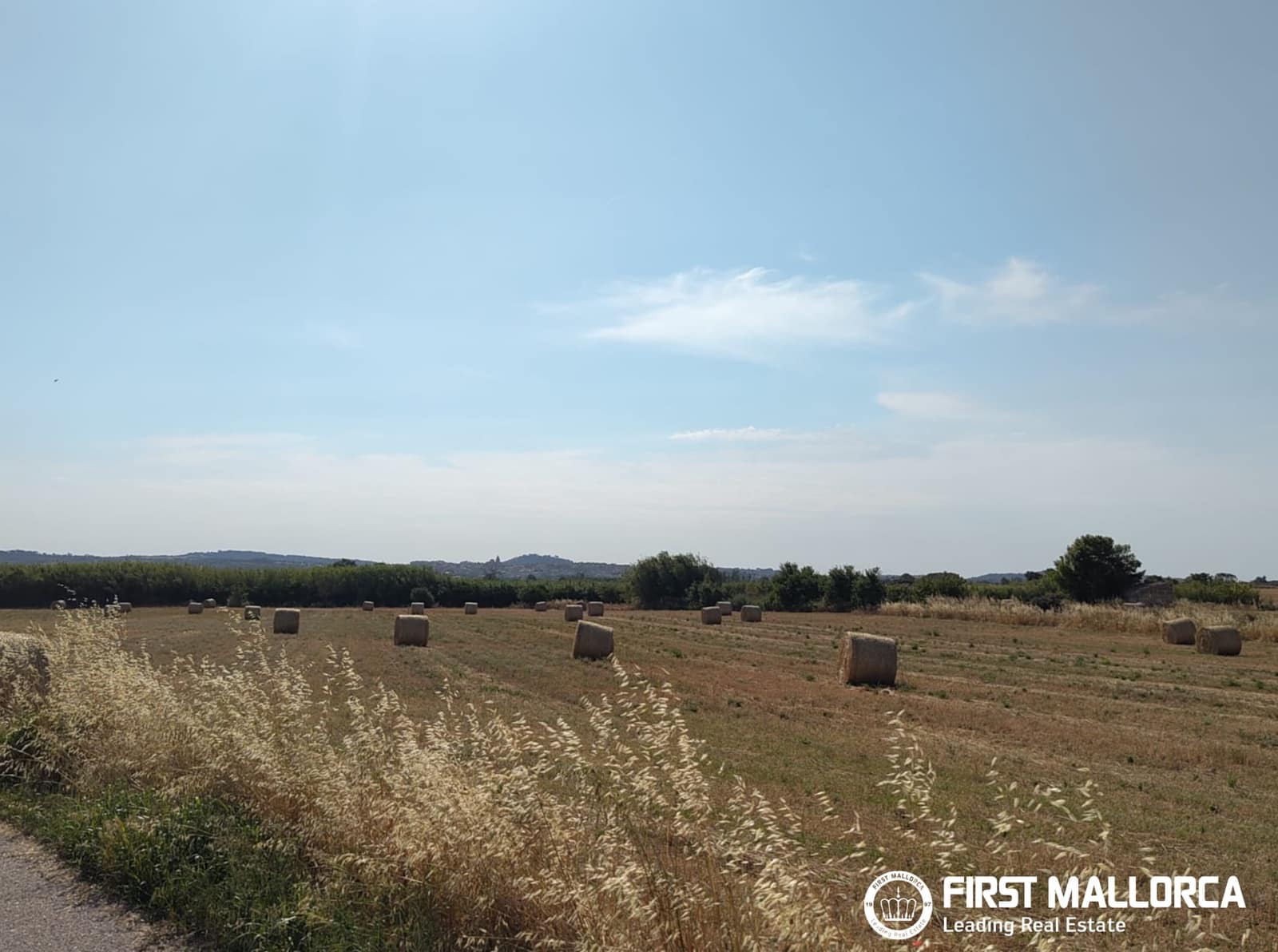 2 Zimmer Finca/Landgut zu verkaufen in Algaida - 1.600.000 € (Ref: 9877528)