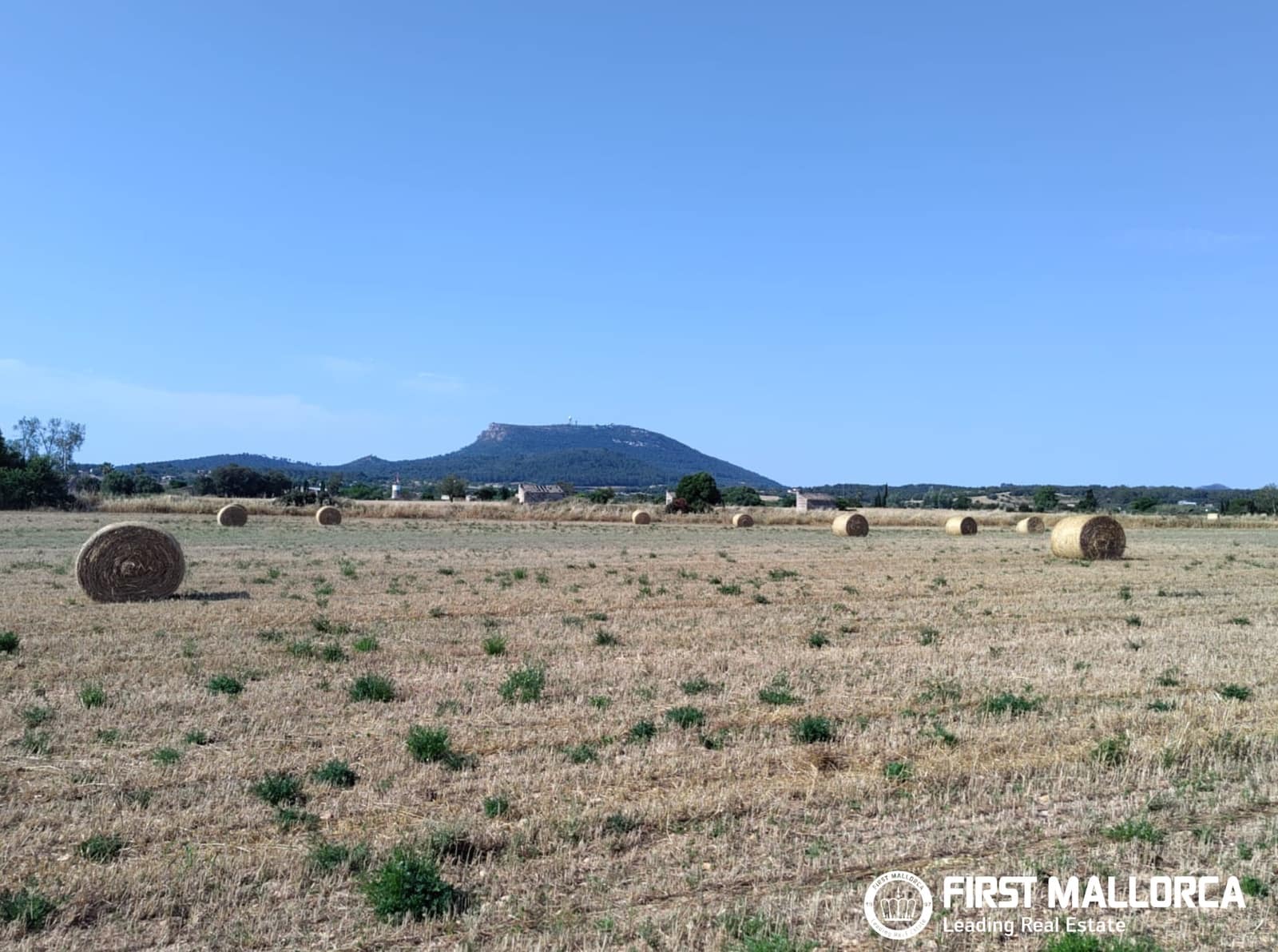 2 Zimmer Finca/Landgut zu verkaufen in Algaida - 1.600.000 € (Ref: 9877528)