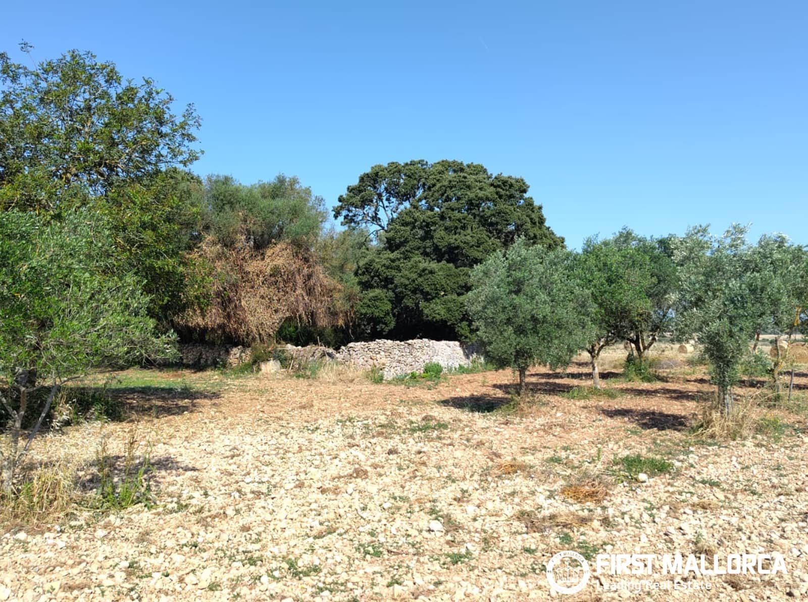 2 Zimmer Finca/Landgut zu verkaufen in Algaida - 1.600.000 € (Ref: 9877528)