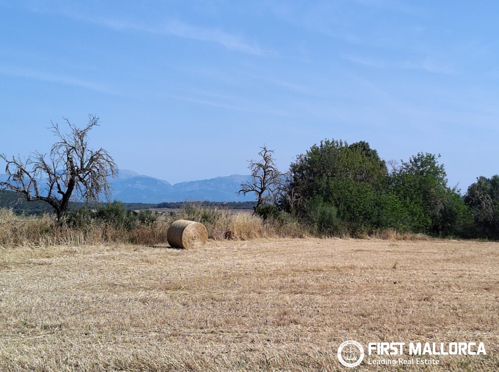 2 Zimmer Finca/Landgut zu verkaufen in Algaida - 1.600.000 € (Ref: 9877528)