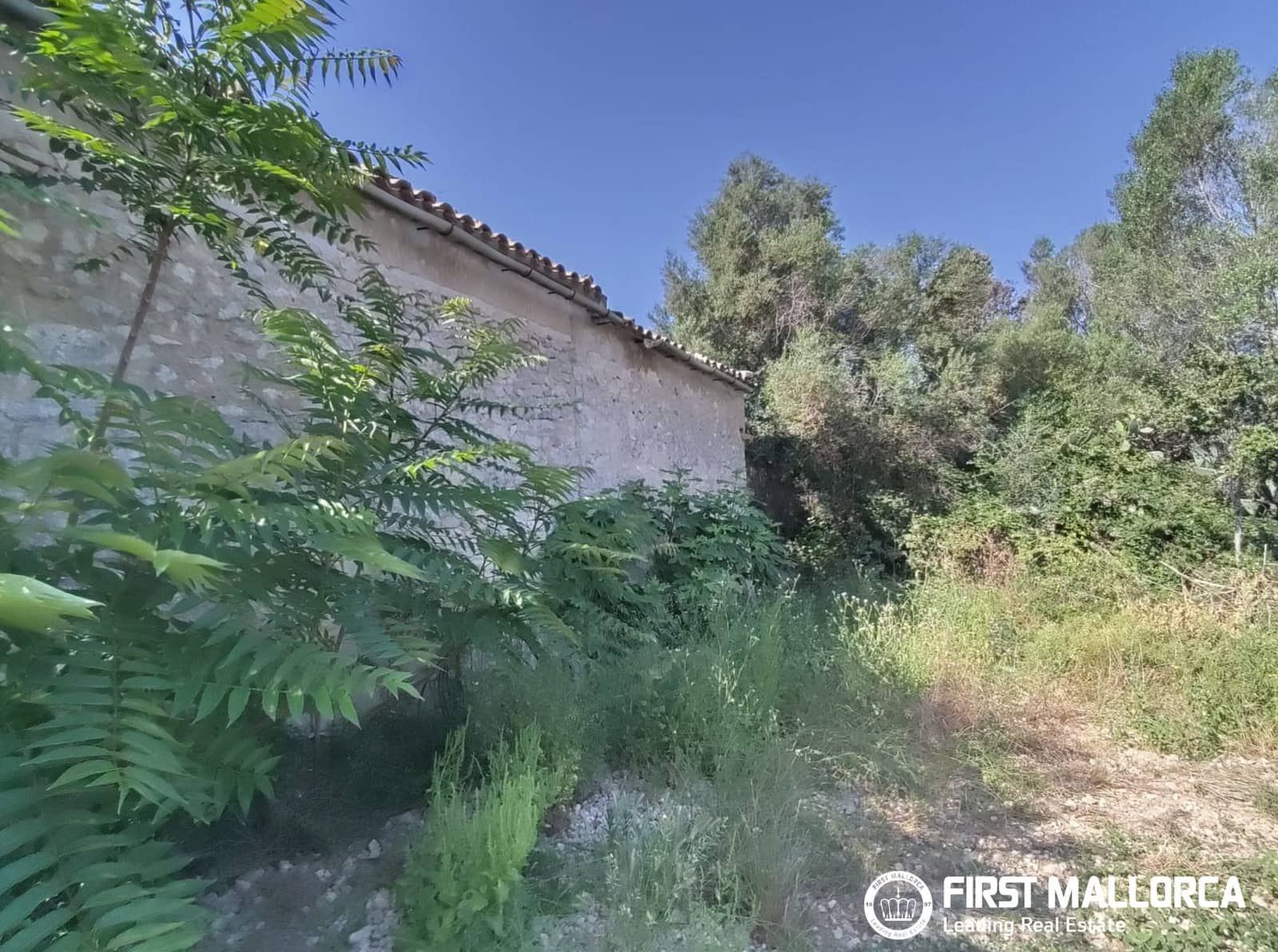 2 Zimmer Finca/Landgut zu verkaufen in Algaida - 1.600.000 € (Ref: 9877528)