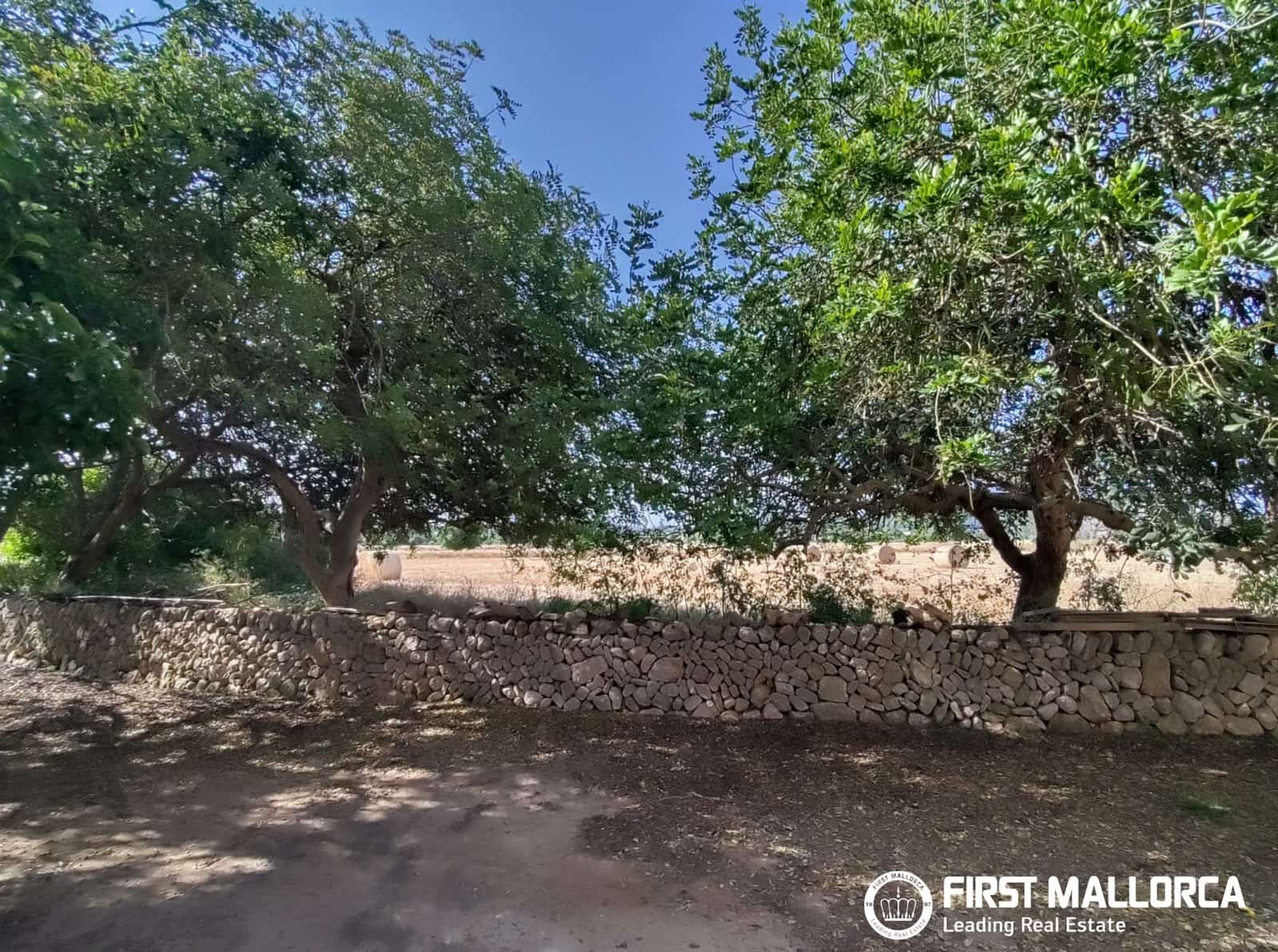 2 Zimmer Finca/Landgut zu verkaufen in Algaida - 1.600.000 € (Ref: 9877528)