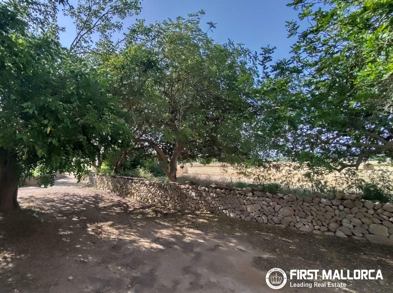 2 Zimmer Finca/Landgut zu verkaufen in Algaida - 1.600.000 € (Ref: 9877528)