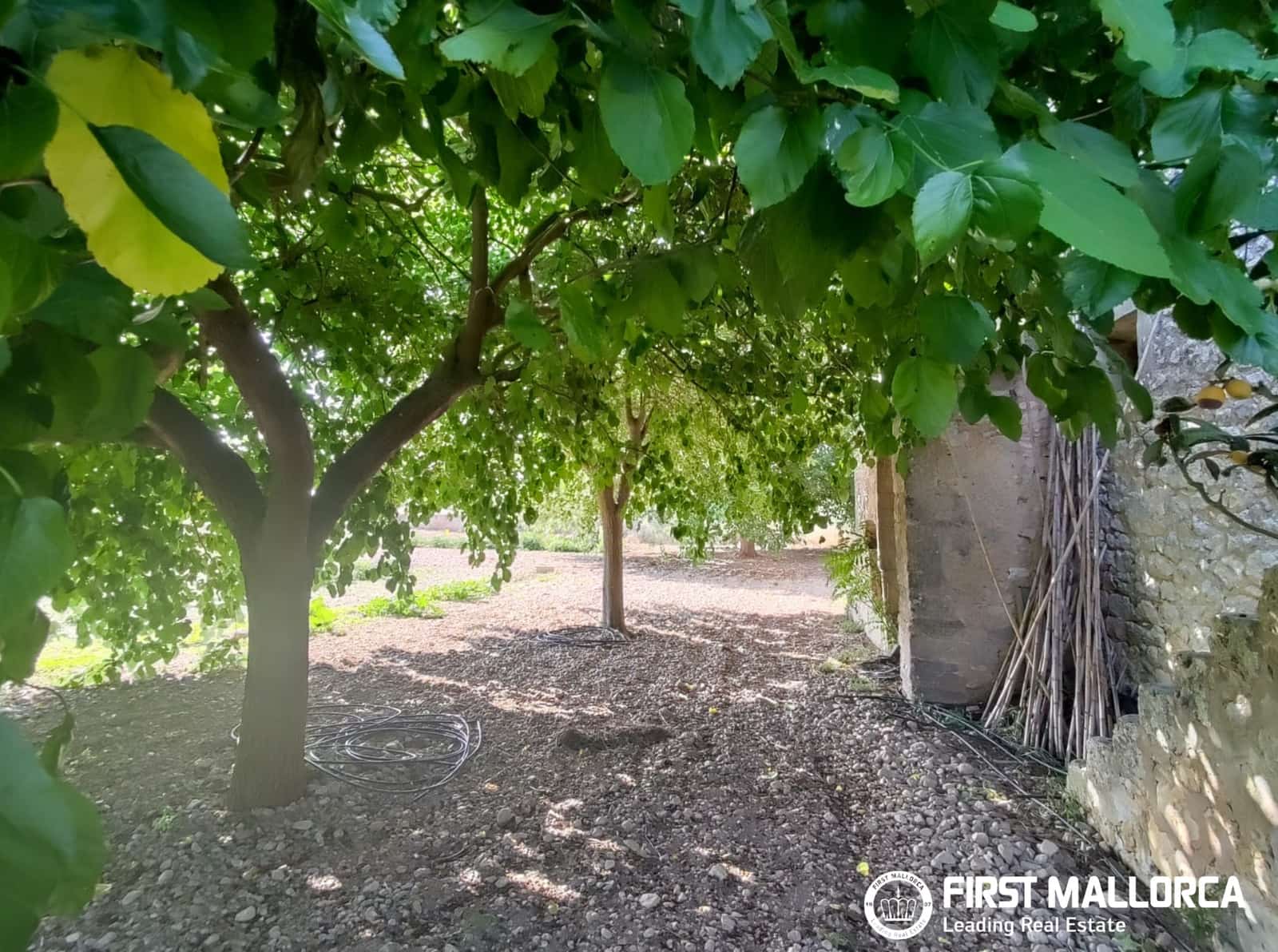 2 Zimmer Finca/Landgut zu verkaufen in Algaida - 1.600.000 € (Ref: 9877528)