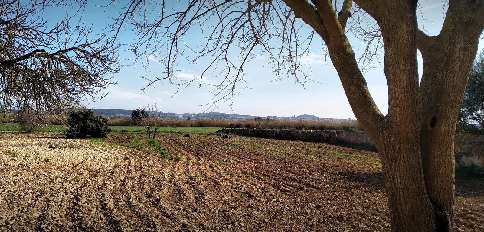 2 soverom Finca/Herregård til salgs i Algaida - € 1 600 000 (Ref: 9877528)