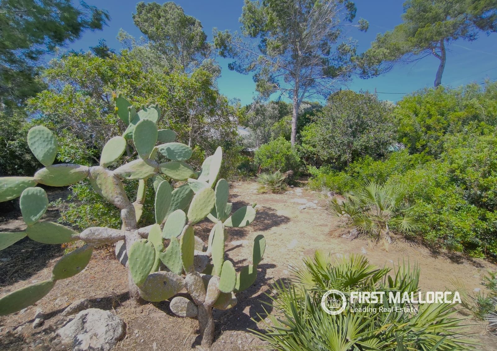 Adosado de 4 habitaciones en Cala Ratjada en alquiler con garaje - 3.750 € (Ref: 9889510)