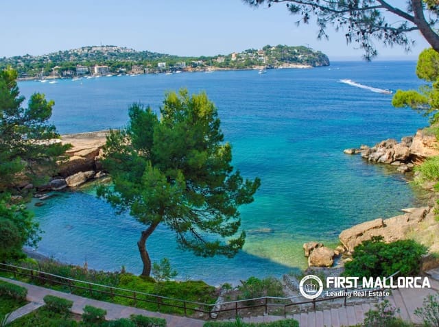 1 bedroom Apartment for rent in Santa Ponsa, Calvià with garage - € 1,950 (Ref: 9895416)