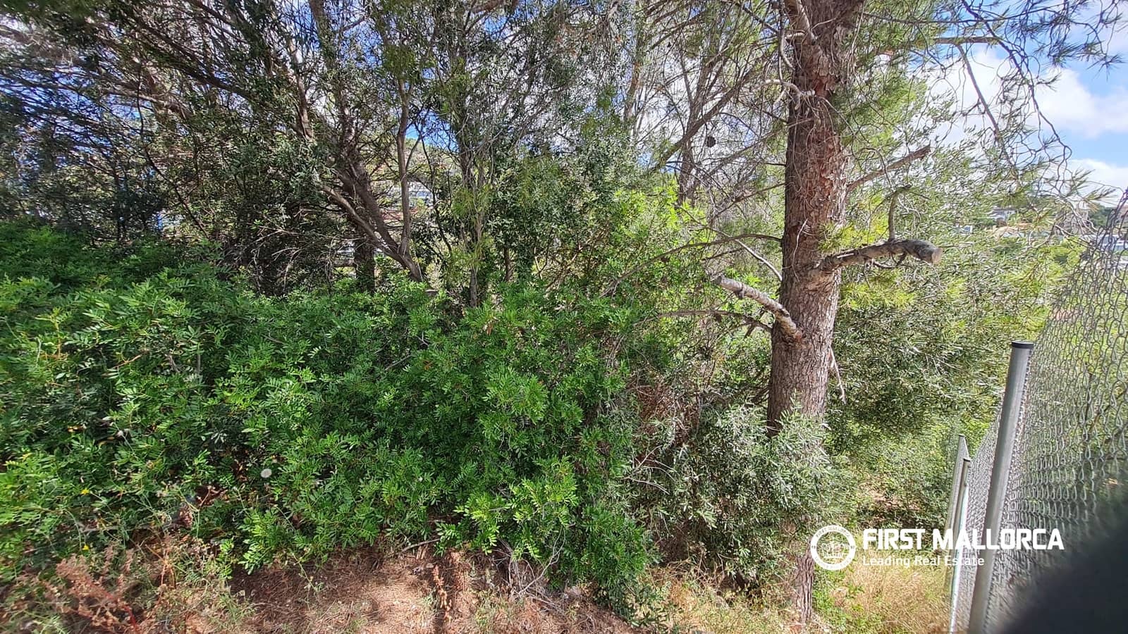 Bauplatz zu verkaufen in Costa d'en Blanes - 1.200.000 € (Ref: 9898440)
