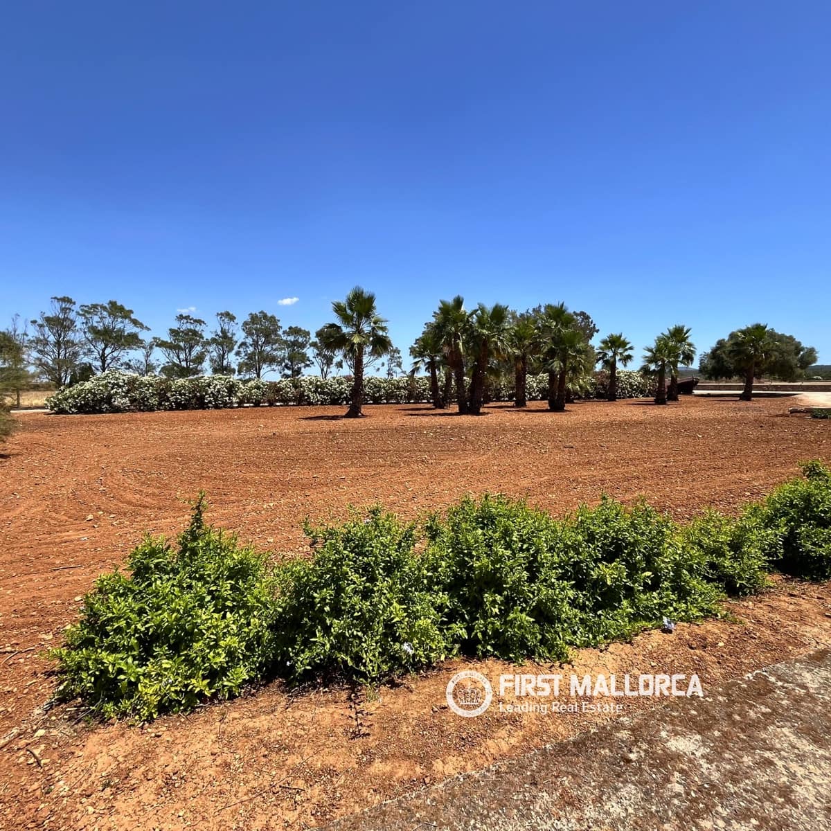 1 soveværelse Finca/Landehus til leje i Campos med swimmingpool garage - € 2.400 (Ref: 9906662)