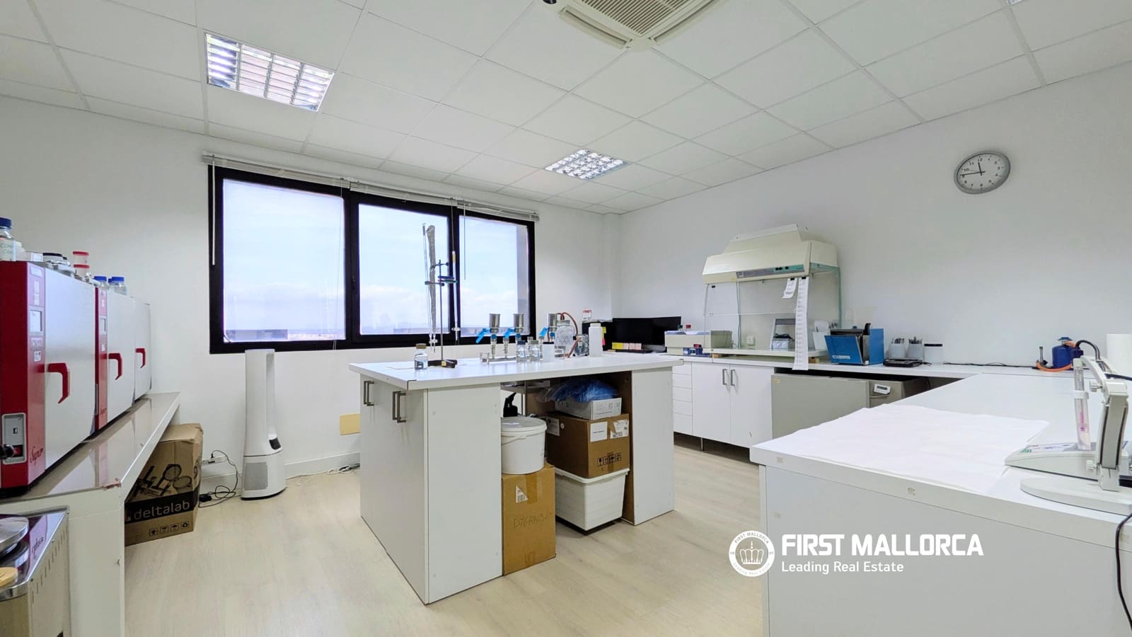 Gewerbe zu verkaufen in Palma de Mallorca mit Garage - 335.000 € (Ref: 9926365)