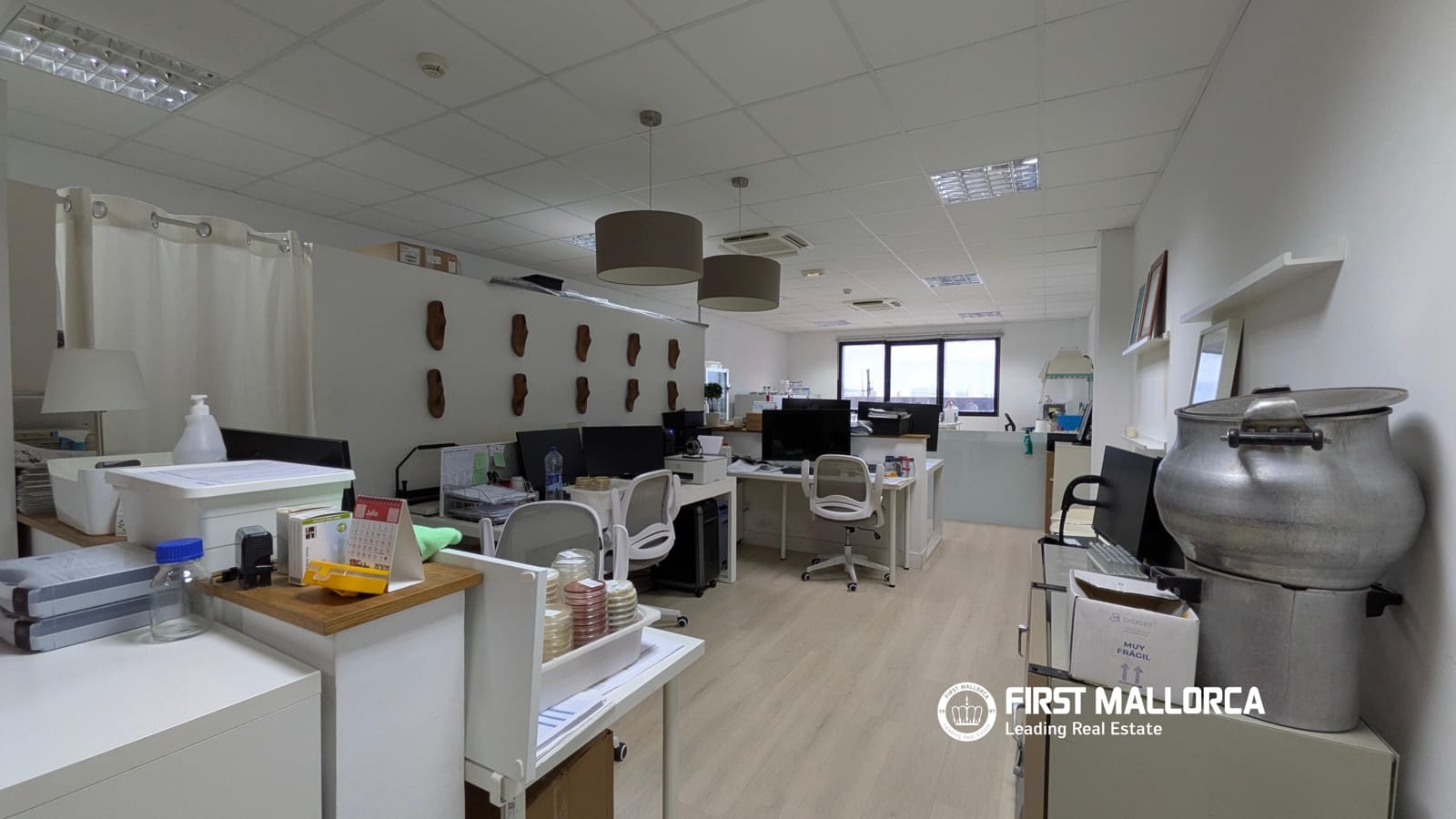 Gewerbe zu verkaufen in Palma de Mallorca mit Garage - 335.000 € (Ref: 9926365)