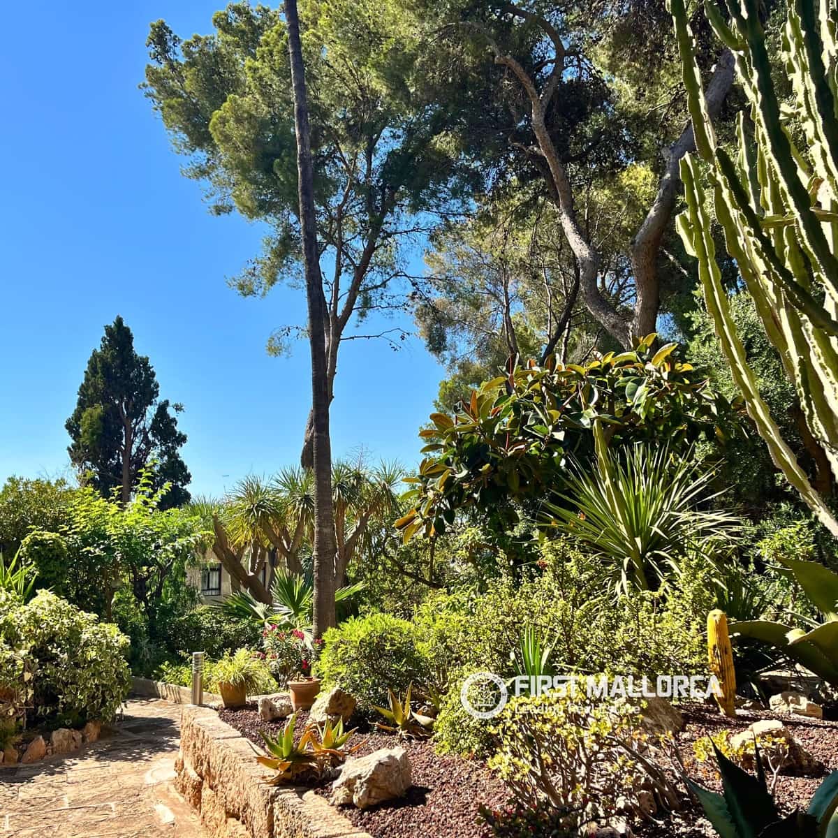 2 bedroom Apartment for sale in Illetas with pool - € 698,000 (Ref: 9928528)