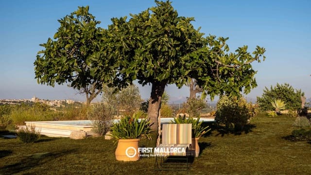 3 bedroom Finca/Country House for sale in Moscari, Selva with pool garage - € 2,900,000 (Ref: 9950678)