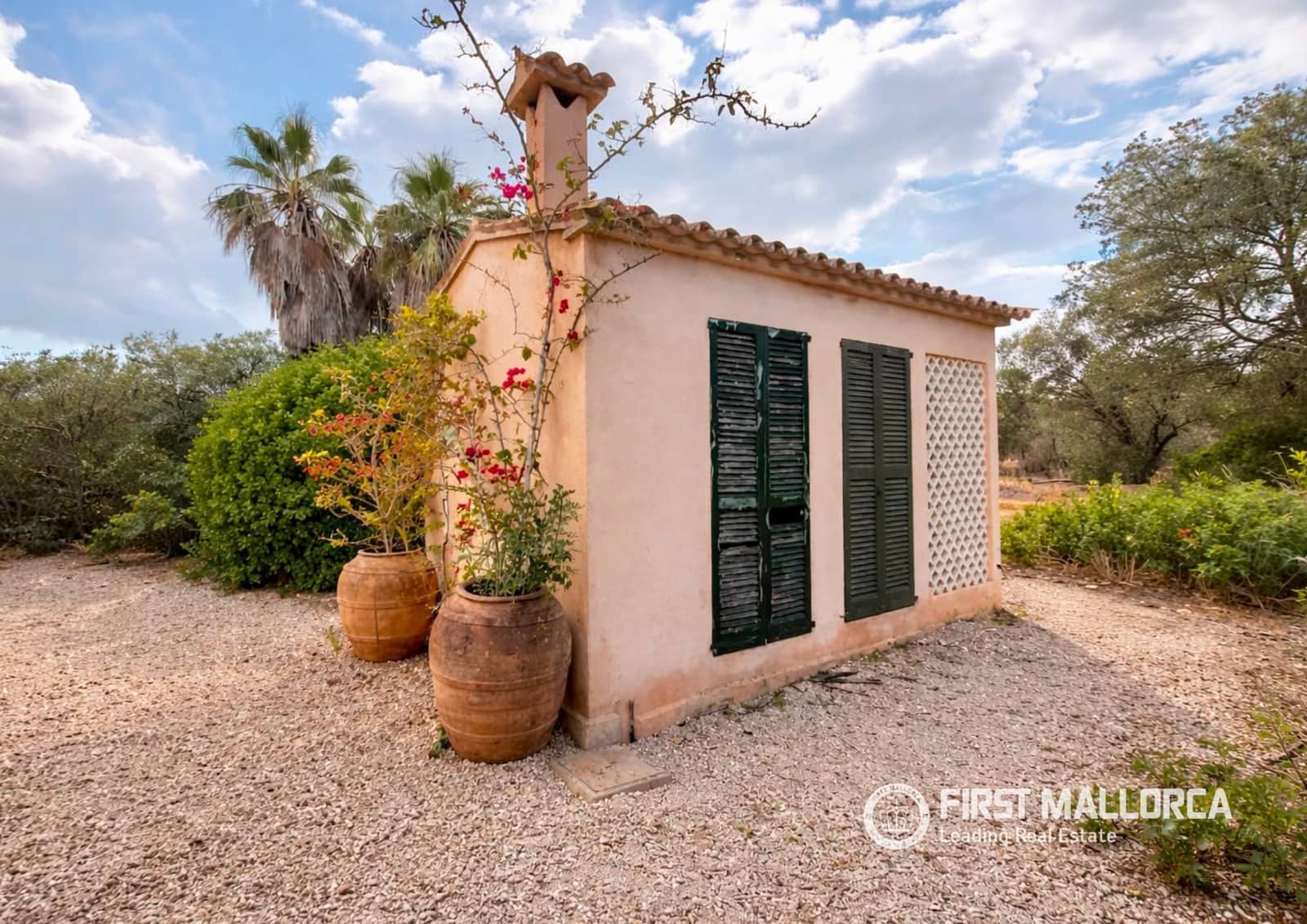 3 sypialnia Finka/Dom wiejski na sprzedaż w Ses Salines z basenem garażem - 2 400 000 € (Ref: 9961763)