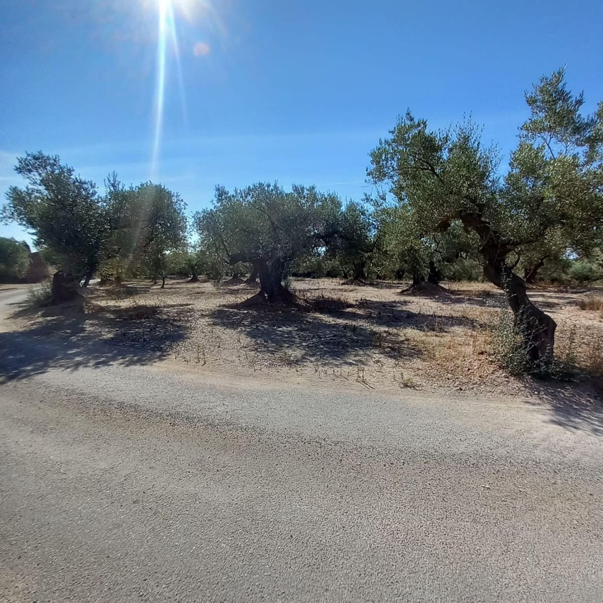 2 camera da letto Finca/Casa di Campagna in vendita in Mas de Barberans con garage - 132.000 € (Rif: 10020917)