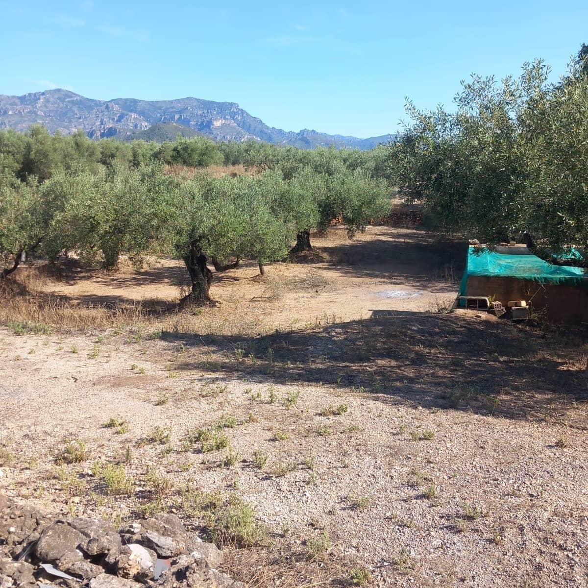 2 camera da letto Finca/Casa di Campagna in vendita in Mas de Barberans con garage - 132.000 € (Rif: 10020917)