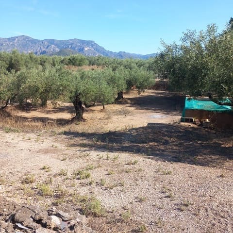 2 camera da letto Finca/Casa di Campagna in vendita in Mas de Barberans con garage - 132.000 € (Rif: 10020917)