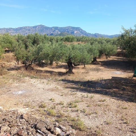 2 camera da letto Finca/Casa di Campagna in vendita in Mas de Barberans con garage - 132.000 € (Rif: 10020917)