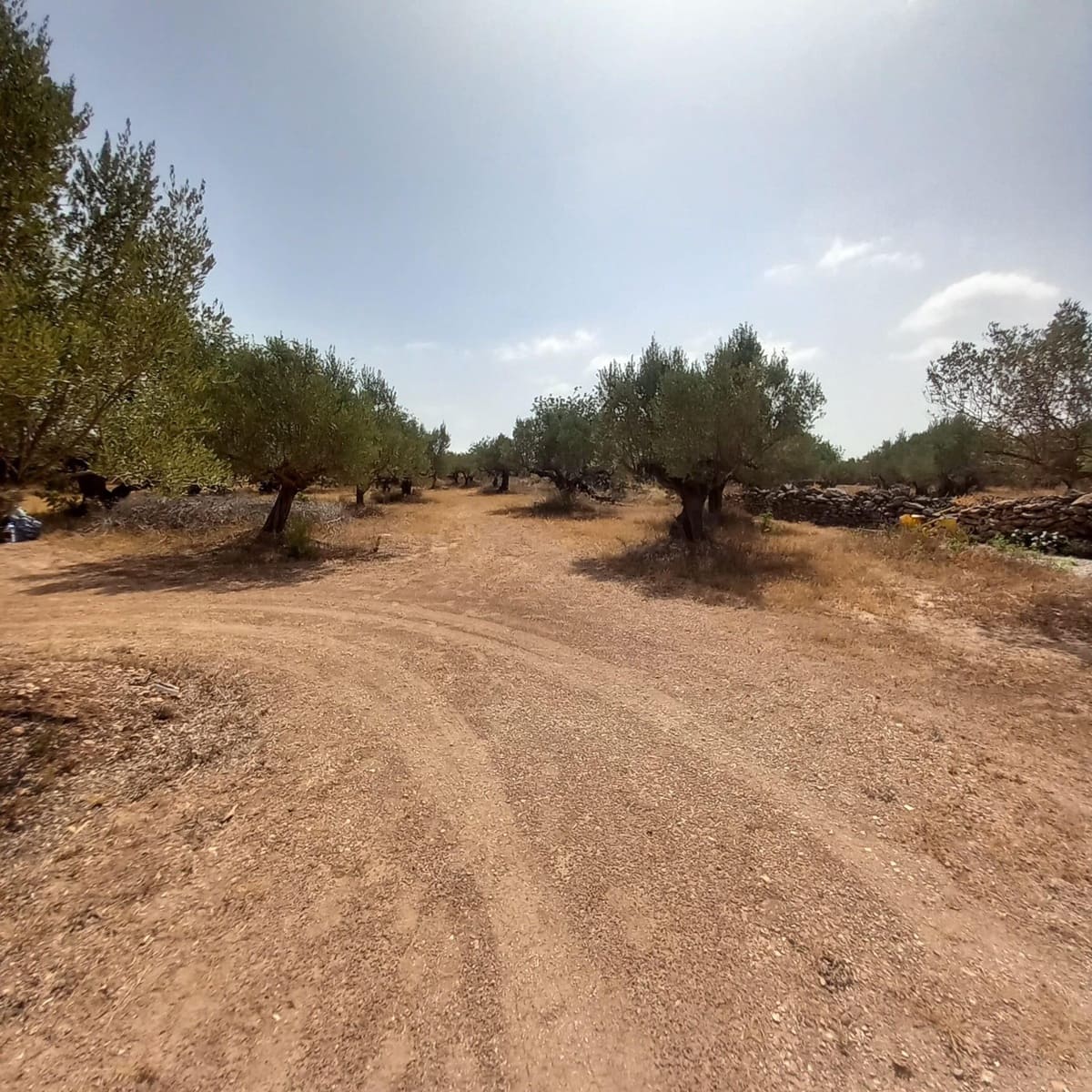 Finca/Herregård til salgs i Tortosa - € 140 000 (Ref: 10024139)