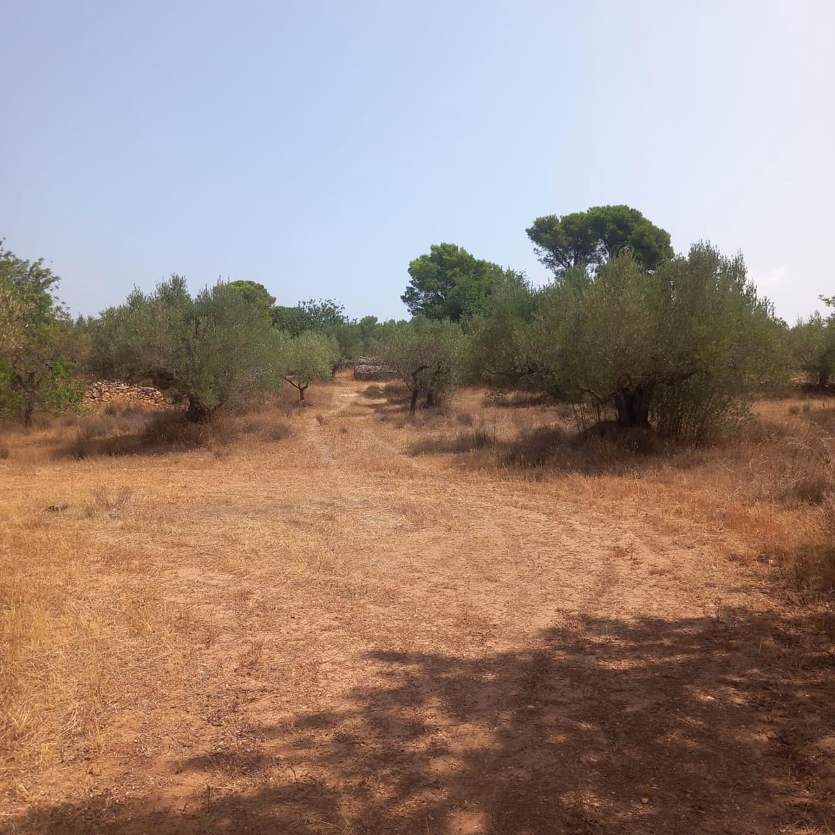 Finca/Herregård til salgs i Tortosa - € 140 000 (Ref: 10024139)