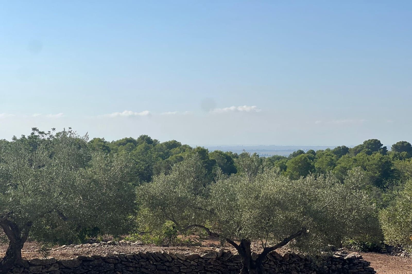 Finca/Landgut zu verkaufen in Tortosa - 70.000 € (Ref: 10059466)