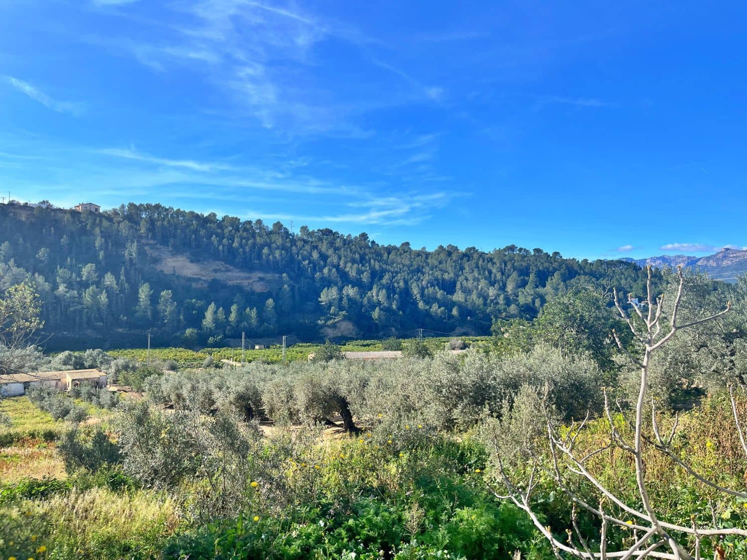 Finca/Landehus til salg i Tivenys - € 28.000 (Ref: 9169457)