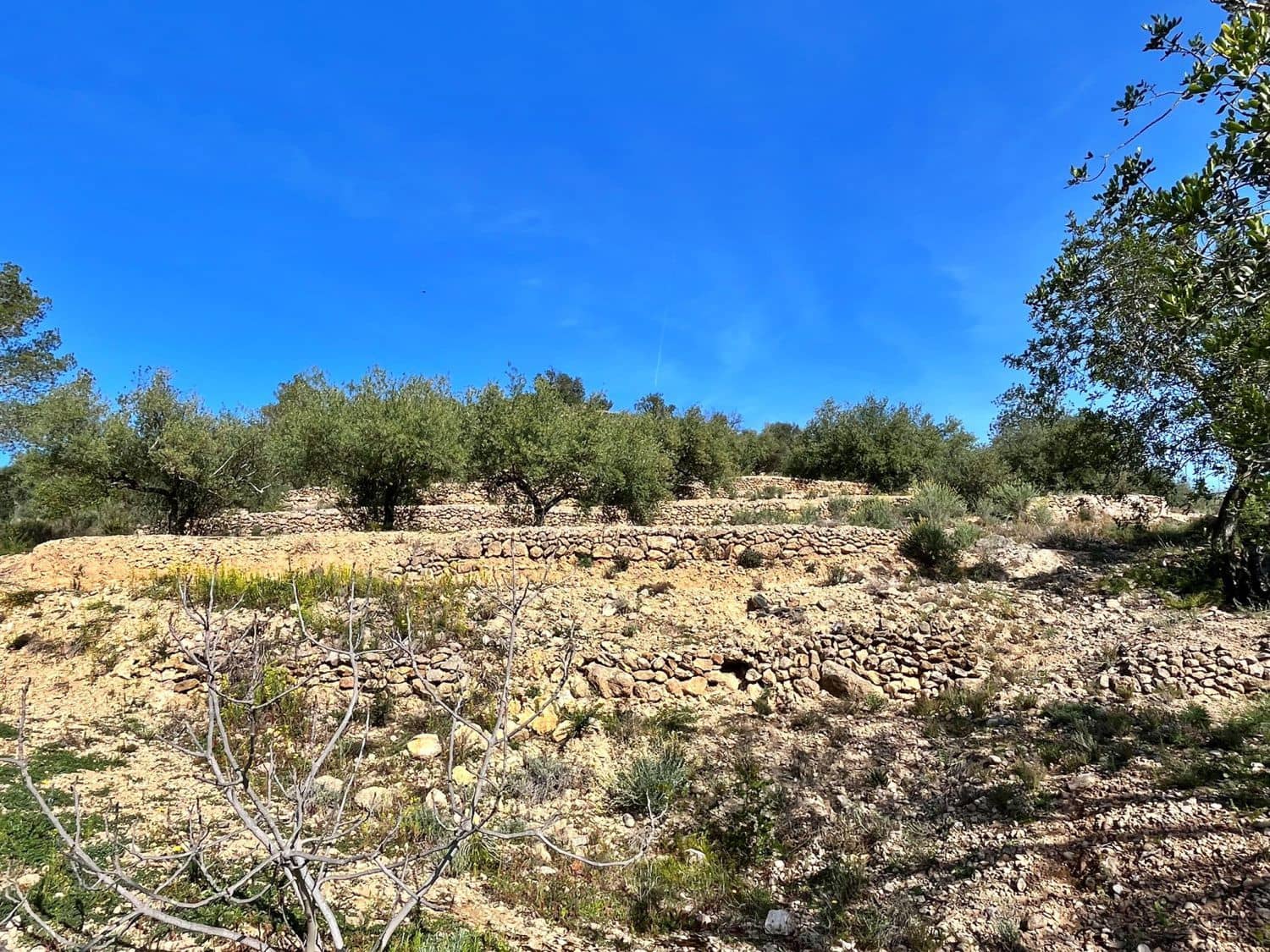 Finca/Landehus til salg i Tivenys - € 28.000 (Ref: 9169457)