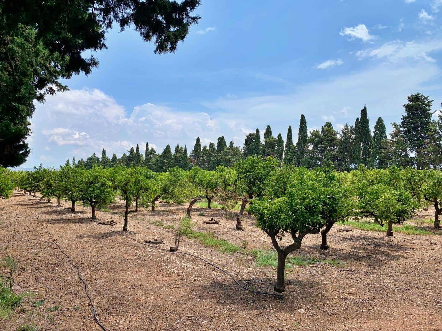 Finca/Landehus til salg i Roquetes - € 380.000 (Ref: 9169458)